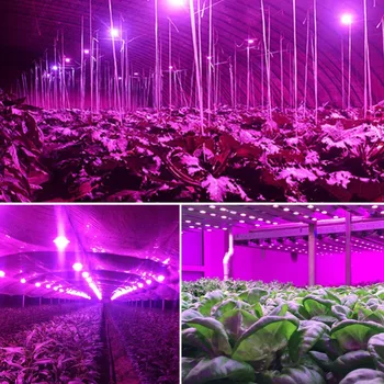 Foxanon Spectru Complet E27 SMD5730 LED-uri Cresc Lumini 220V 110V Plante de Interior Cresc Lampa pentru Medicinale, Legume, Sere de Flori