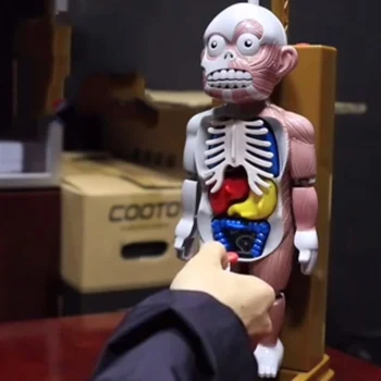Halloween Complicat Glumă Jucărie Noutate schelet de Simulare Organe Umane 3D Puzzle-uri Asamblate Înfricoșător Corpul Uman Jucarii Model