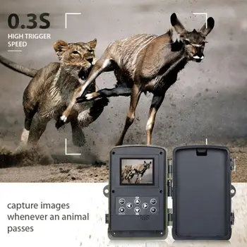 HC801A 16MP 1080P Traseu Video de Vânătoare Camera IR Viziune de Noapte Sălbatice Camera monitorizarea faunei sălbatice Sălbatic de Fotografiat