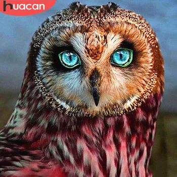 HUACAN Diamant Broderie Diamant Pictura Owl Full Patrat/Rotund Burghiu 5d DIY Diamant Mozaic Imagine Animal De Stras