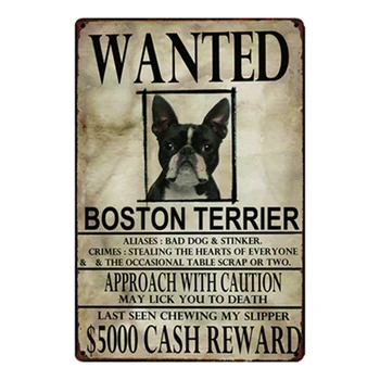 [ Kelly66 ] Boston Terrier Wanied Metal Semn Tin Poster Decor Acasă Bara de Perete de Arta Pictura de 20*30 CM Dimensiune y-2095