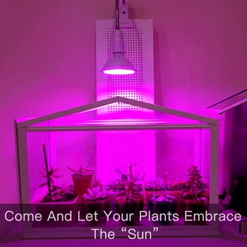 LED-uri Cresc de lumină întregul Spectru Fito Lampa Hidroponice Fitolamp Cu Clip Pentru Legume, Flori Seedings cu efect de Seră Instalație de Iluminat