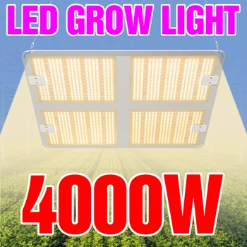 LED-uri Cresc de Lumină întregul Spectru Lampa LED 300W 500W 1000W 2000W 4000W Planta Lampa de Creștere Lumina LED-uri de Iluminat cu efect de Seră Cuantice Bord
