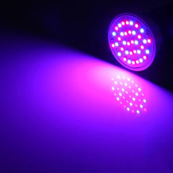 LED-uri Cresc Light Phytolamp Condus în Creștere Bec 3W 6W 10W 20W SMD3528 Fitolamp Planta Lampa Pentru Flori Semințe Gradina Interioara Crească Cutie E27