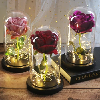 LED Veșnică Floare Nemuritoare Flora Lumina Dom frumoasa si ia a Crescut Într-Un Balon cotat de Ziua Îndrăgostiților, Ziua de nastere Ziua de Craciun Cadou