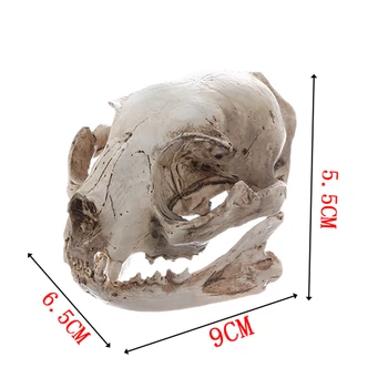MagiDeal Cat Craniu Replica Medicale De Predare Schelet Model De Colectie, Decor