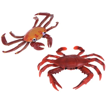 Mare Vietile Animalelor Modele De Figurine Figurine Jucarii De Simulare Pustnic Crab Skate Potcoavă Caracatiță Țestoase De Mare Cadou Pentru Copil