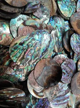 Mari de Bijuterii din Noua zeelandă abalone shell margele pentru a face bijuterii naturale de coajă scoică abalone pandantive rotunde plate
