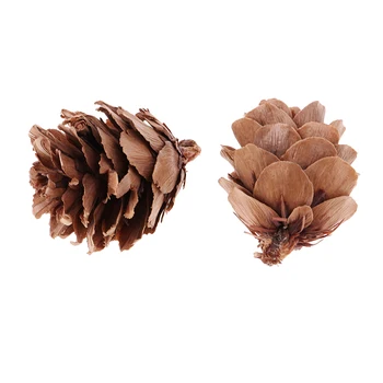 Mini Mic Naturale Uscate, Conuri de Pin În Vrac Flori Uscate pentru Decor de Crăciun sau de Crafting Pachet de 180 Buc