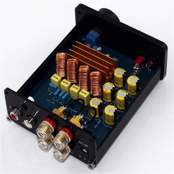 Mini Subwoofer Plin de Frecventa Mono Canal TPA3116 Digital Putere Amplificator HiFi Integrat Clasa D Amplificator de 100W Mono Amplificatoare