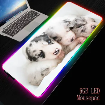MRG Drăguț Câine Husky Animal Mouse Pad RGB Mari Mouse Pad Gamer XXL Mouse-ul Covor Mare Mause Pad PC de Birou Play Mat, cu iluminare din spate