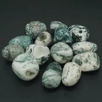 Naturale Agat De Copac Prabusit Piatră Piatră Piatră Cristal Mineral Vindecare Chakra Meditație Feng Shui Decor De Colectare