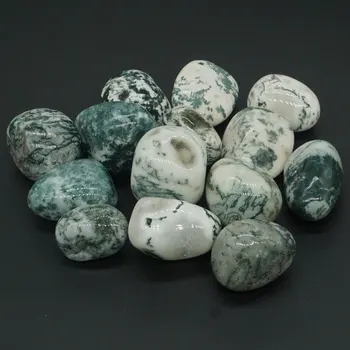 Naturale Agat De Copac Prabusit Piatră Piatră Piatră Cristal Mineral Vindecare Chakra Meditație Feng Shui Decor De Colectare