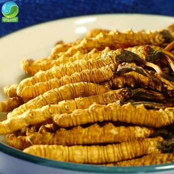 Naturale Cordyceps Sinensis Organice din Tibet Wild Himalaya Cordyceps Sinensis,Boost de Energie, Reduce Stresul