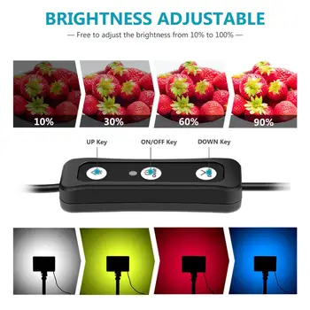 Neewer Portabil Fotografie Kit de Iluminat Estompat USB 66 Video cu LED-uri de Lumină, Mini Trepied Suport pentru blat/Unghi mic Foto Video
