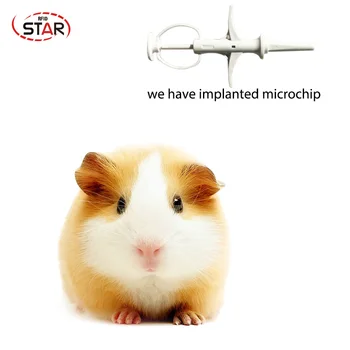 Noi rfid animal Seringa 2.12x12mm animal microcip seringa la 134,2 KHz animale de companie seringi ISO animal Cip EM4305 tag pentru animale