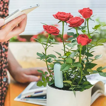 Noua versiune Internațională de Flori Original Monitor Plante de Apă din Sol de Lumină Inteligent Tester Pentru Flora Senzor de Grădină