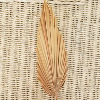 Palm Fan, Frunze Uscate, Flori Naturale Uscate Frunze de Palmier Fan Planta DIY Petrecere Art Agățat de Perete Decor Nunta