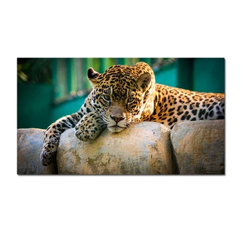 Panza Pictura Leopard Postere Si Printuri De Animale Poster Imagini Cuadros De Arta De Perete Pentru Camera De Zi De Decorare Fara Rama