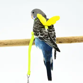 Papagal De Companie Pasăre Ham Si Lesa Zboară În Aer Liber, De Formare De Tracțiune Coarda Curele Pentru Papagalul Perus Păsări Mici
