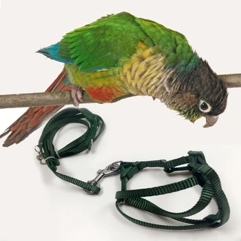 Papagal De Companie Pasărea În Lesă În Aer Liber Reglabil Ham De Instruire Anti-Muște Zburătoare Trupa