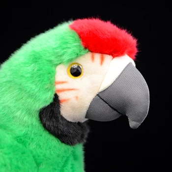Papagalii Ara Verde Macao Papagal Psitaciformelor Moale Jucărie De Pluș Pasăre Model Copii Cadou Real De Simulare De Viață Drăguț Animal De Pluș Papusa
