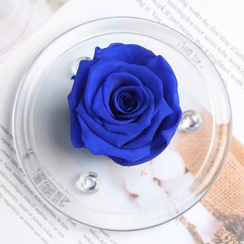 Pentru totdeauna Flori În Cupolă de Sticlă Păstrate Veșnic Real a Crescut Prezenta cel Mai frumos Cadou de Ziua Recunoștinței Ziua de nastere Aniversare de Ziua Îndrăgostiților