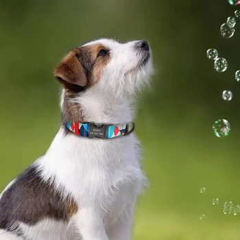 Personalizate Guler pentru animale de Companie Nailon Guler de Câine Personalizate Gravate Plăcuța de identificare ID-ul Tag-ul Zgarda pentru Catel Pisici Mici Mijlocii Mari Câini