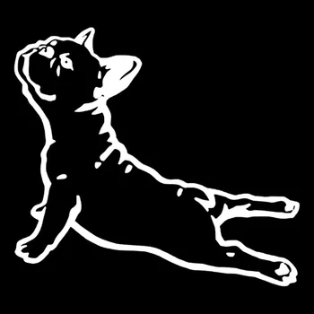 PLAY COOL Masina Autocolant Desene animate Bulldog Franța Câine de Companie Styling Impermeabil Automobile Motociclete Accesorii Exterioare de Vinil Decal