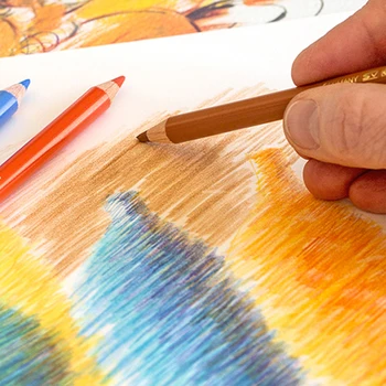 Polychromos Faber Castell Artist Clasa Gras Creioane Colorate 12/24/36/60/72/120 Culori Profesionale Art Gras Creioane Colorate 1100