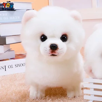 Pomeranian Câine Jucărie De Pluș Triver Animal De Pluș Papusa De Companie Cățeluș Copii Copil Iubitor De Câine Cadou De Ziua Acasă Decorare Magazin De Artizanat