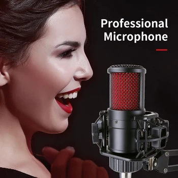 Profesia studio Microfon pentru Calculator PC Înregistrare karaoke Acasă Kit Condensator Microfon cu Phantom Power Changer Voce