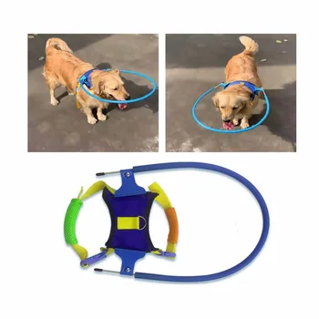 Protectie moale Vesta Inel pentru Câini de Companie în condiții de Siguranță Halo Ham pentru Orbi Câini Preveni Ciocni de Perete