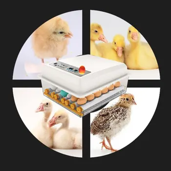 Păsări de curte Incubator Mașină de Ouă pentru Incubație 16 Mini-Incubator Pui Mic Ou de Pasăre Incubator Eclozionatoare de Prepelita Papagal, Rață, Porumbel