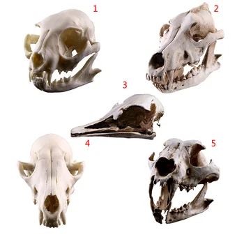 Rasina De Artizanat Craniu De Animal Model Câine, Pisică, Mouse-Ul Craniu De Predare Model De Schelet Creative Acasă Ornamente Decor De Halloween