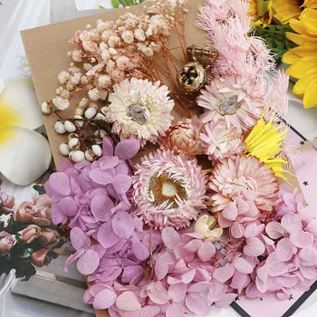 Real flori uscate pentru decoratiuni Nunta, Ziua de nastere Decorare DIY Cadru față-Verso de Sticla Cadru Desktop Ornamente
