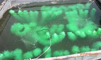 Reproducere pește ouă trapa perie perie Koi iarba crap / amur ou pentru incubație implantare de acvacultură cuib de pește