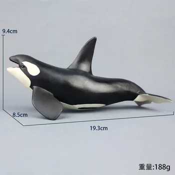 Simulare Sea World Animal Figuri Solide De Simulare Realist Mici Ucigaș Balena Modele Pentru Copii Cognitive Balena Jucarii Cadou
