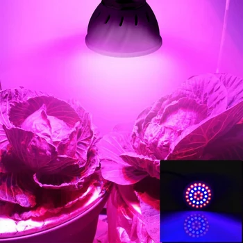 Spectru larg Fitolampy Hidroponice Fito lampa de lumina Soarelui Pentru Legume, Flori Seedings cu efect de Seră de Plante de Lumină LED-uri Cresc de lumină 220V