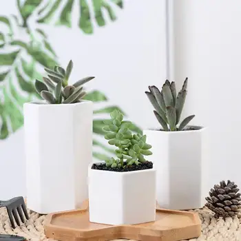 Suculente Ghiveci Plante Carnoase Hexagonale Ceramica Inovatoare Ceramica Alba Bonsai Cu Tava De Bambus Decor Acasă Ghiveci