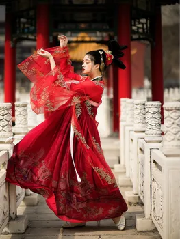 Tang Costum De Printesa De Dans De Performanță Costum Hanfu Rochie Națională Chineză Tradițională Hanfu Haine Vechi Zână Cosplay