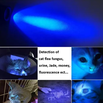 TMWT Portabil Ultra Violete Ultraviolete Lanterna lumina uv 5W 18650 Battrry puternic led uv 365nm lanterna Lanterna pentru animale de Companie urină