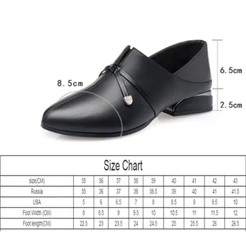 Toamna femei Pantofi din Piele 2020 Nou Toc mic Doamnelor Pantofi de Mari Dimensiuni 41 42 43 Toc Gros Arc Ascuțit Pantofi de Lucru Femei