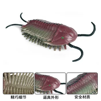 Trilobiții Model Animal figurina Animal Sălbatic PVC Copiii Cognitive Jucarii
