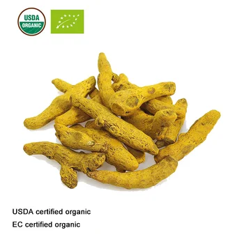USDA și CE Certificate Organic Turmeric Root Extract 20:1 Turmeric Extract de Curcumina