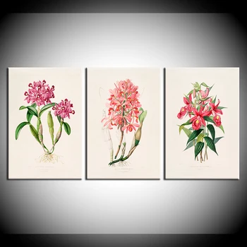 Vintage frunze Verzi aromatique acuarelă Chineză stil de arta Canvas print Botanic Arta de Perete de Plante Decor Verde Frunze de Plante de flori