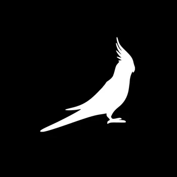 Volkrays Desene animate Autocolant Auto Papagalul Papagal, Pasăre, Papagal, Accesorii Reflectorizante Vinil rezistent la apa Decal Negru/Argintiu,16cm*16cm